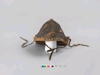 藏品(皮帽)的圖片